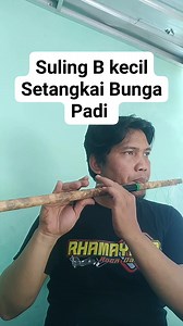 Suling Reff Setangkai Bunga Padi, nada dasar lagu E mayor, Suling pake B kecil. Pesanan Mr Rujiyanto Kuplok jogja. #sulingdangdut #afifsuling #reels #setangkaibungapadi #sorotan #pengikut | Afif Suling Jatijajar