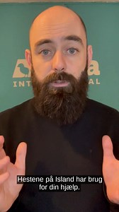 Synes du også, det er ubærligt at se, hvordan gravide hopper bliver mishandlet på islandske blodfarme? 😩 Så vær med til at råbe den ansvarlige minister I Island op i dag! Læs hvordan her 👇 anima.dk/blodfarme-heste Hundredvis af dyrevenner har allerede sendt mails til den islandske industriminister med et klart budskab: LUK BLODFARMENE! 😠 Du kan være med og hjælpe med at gøre det tydeligt for ministeren - som også har ansvaret for Islands turisme - at blodfarmene smadrer landets image. På blod