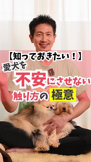 愛犬を不安にさせない触り方の極意#犬のしつけ #ドッグトレーニング #ドッグトレーナー #犬#犬のいる暮らし