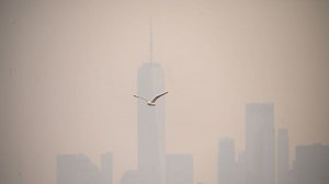 Federal Agency Issues Air Quality Alerts for Millions of Americans