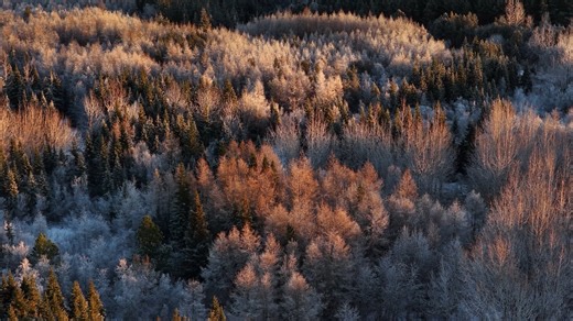 14877912_1920_1080_30fps