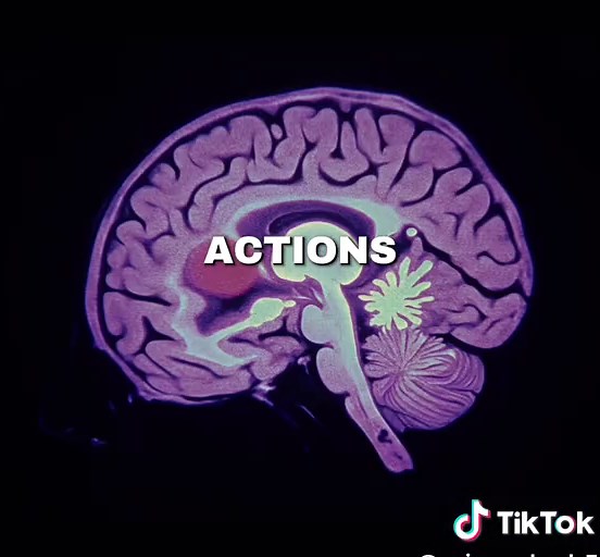 Understanding Authenticity: Exploring True Self