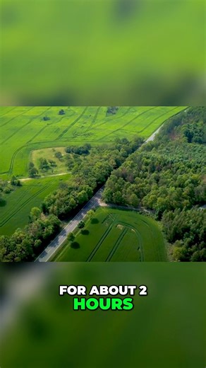 35K views · 986 reactions | Sasquatch Unearthed is back. Enter the Bridgewater Triangle in the latest episode of Bigfoot of the North Woods, available NOW. The Bridgewater Triangle keeps many secrets, and some of them are monstrous. From director Seth Breedlove. https://youtu.be/eI18Sonyjh8?si=DmX4AJzEkIu6dF2X#new #bigfoot #sasquatch #vermont #greenmountain #appalachiantrail #longtrail #history #folklore #monsters #cryptids #documentary | Small Town Monsters: On the Trail of | Facebook