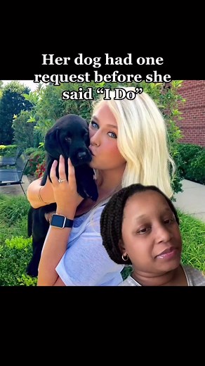 Heartwarming Wedding Day Surprise for Dog Lover