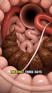 12K views · 210 reactions | Deep Cleanse from Within & Restore Total Body Balance. ✨ 80% Silymarin Formula to Detox, De-Bloat & Defend Against Everyday Toxins | Galmio | Facebook