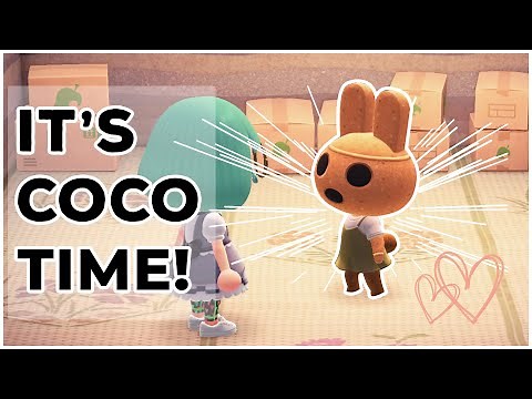 I GOT COCO!!!! 🐰🥥 Animal Crossing New Horizons