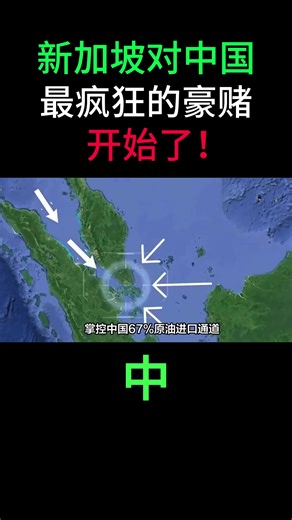 新加坡与中国的经济博弈揭秘