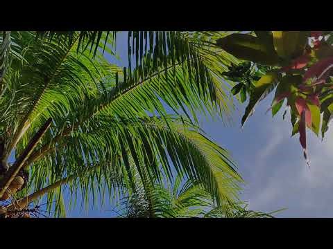 Gcam redmi note 12 pro