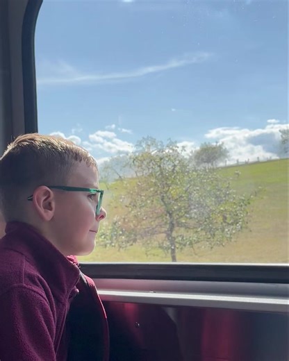 Mister Ed's Elephant Museum on Reels