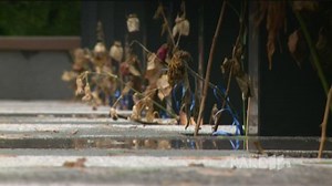 A new way to explore Mpls. public art