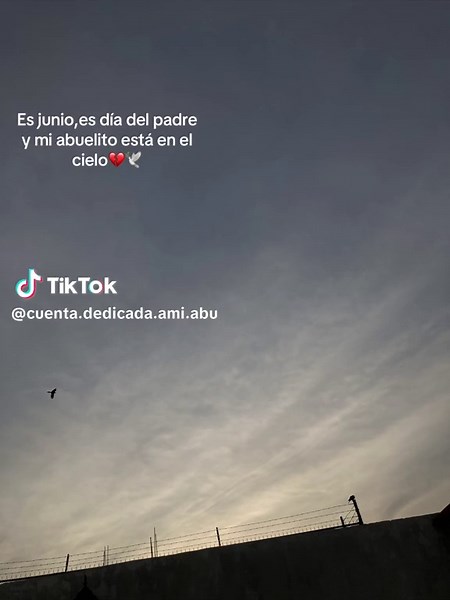 Dedicación a un Abuelito en el Día del Padre