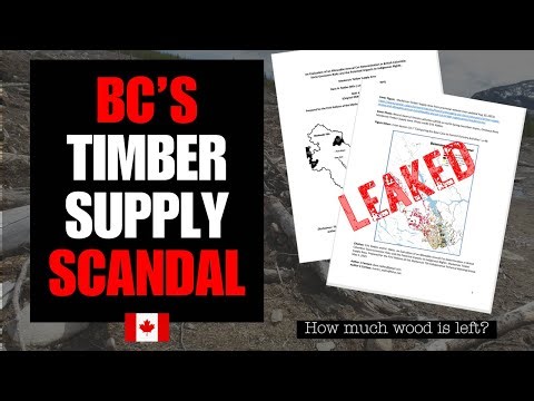 Leaked report confirms BC’s forest crisis: BC counted trees that aren’t there