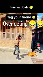 559K views · 10K reactions | Animal Over acting ' tag your best friend  #reelschallenge#reelschallenge #animals#animals #funny#funny #funnyanimals#funnyanimals #FacebookPage#FacebookPage #dontlaugh#dontlaugh #best #tag #friend | Zia-Comedy 12 | Facebook