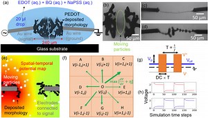 Theoretical modeling of dendrite growth from conductive wire electro-polymerization - Scientific Reports