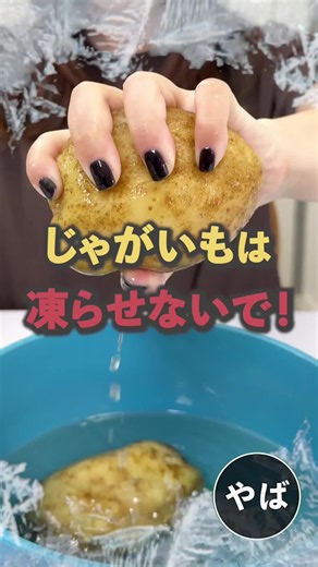 じゃがいもは絶対凍らせないで！ #fyp #雑学 #情報 #知識 #ライフハック