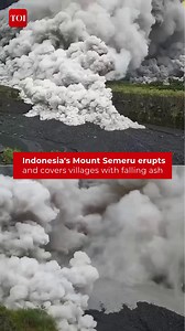16K views · 73 reactions | #Watch | Indonesia’s Mount Semeru, the tallest peak on Java, erupted on Wednesday, covering nearby villages in ash and triggering evacuations as authorities raised the alert to its highest level. #MountSemeru #Indonesia #VolcanoEruption #Java #AshFall #Evacuation #DisasterAlert | The Times of India | Facebook