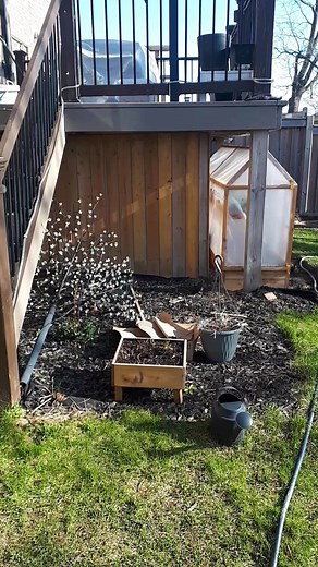 122K views · 5.3K reactions | We transformed our garden with this...