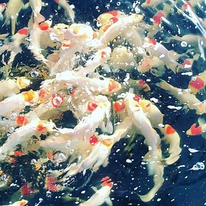 111 reactions | Tag a friend who will like this in the comments! :-)...