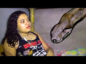 Giant Snake Invades Girl's Bedroom