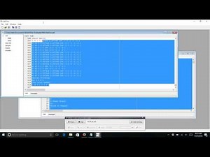 [PETZ] How to Convert a pet from p5 to p4