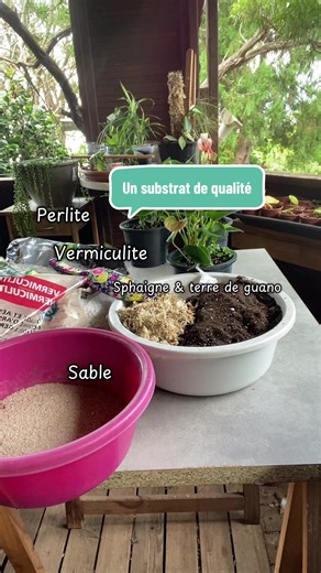 S’occuper de ses plantes c’est aussi s’occuper du substrat ! Substrat idéal pour les anthuriums, monsteras, philodendrons et alocasias ! #fyp #nature #monstera