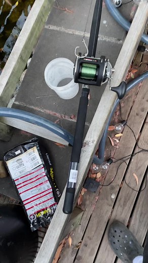 New Fishing Rod Setup with Penn 340 GT2 | BCF - Logan River Fishing