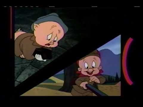 Bugs 'n' Daffy Intro (HQ)