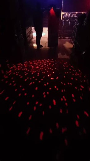 Auntum Leaf Pattern Laser Projector