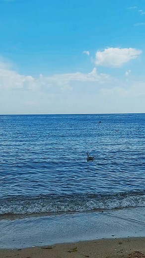 Виктория Стёпкина801 на TikTok