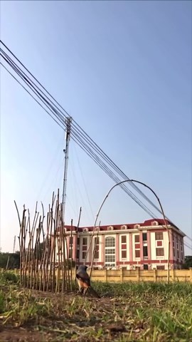 Genius Wildlife Catching Traps | How Creative Taps Are Used for Trapping Animals