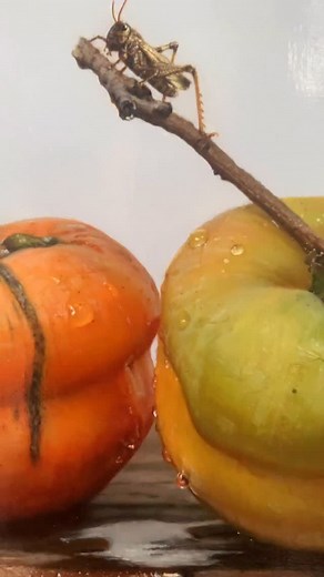 Siyuan Pan | Enchanting Details Pan Siyuan‘s oil paintings #realisticoilpainting #油絵 #油画 #oilpainting #写实油画 #実写油絵 #手描き #handdrawn #手绘 | Instagram