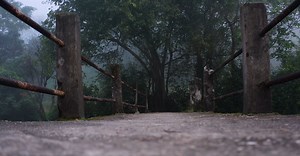 Video by Social Sudo on Pexels