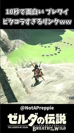 適当に投げた岩がピタコラスイッチすぎたリンクｗｗ【ゼルダの伝説 ブレス オブ ザ ワイルド】