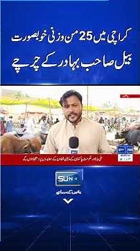 Karachi’s 25-Maund Giant Bull “Sahib Bahadur” Steals the Show #Karachi #SahibBahadur #Bull #Qurbani