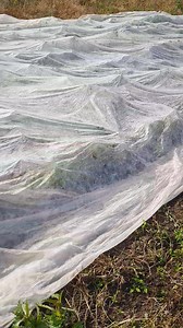 Kg 5€, še vedno zelo lep, naročila na 031392637, dostava Prekmurje in vse do Maribora. Kmetija Vučko | Kmetija Vučko
