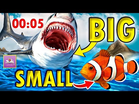 The #1 Activity for Teaching Nursery, Preschool Kids BIG and SMALL Concepts |BIG vs SMALL ?Challenge