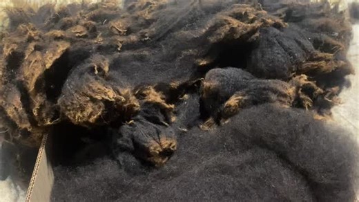 Some of you know what day it is 🤣 #wool wool #crafting #backbritishfarming #craft #lovely #awesome #woolmill #fleeces | Benridge Woolworks