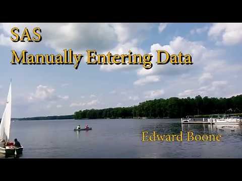 SAS: How to manually enter data.