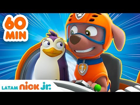 Paw Patrol | ¡1 HORA de grandes rescates animales! | Nick Jr. en Español