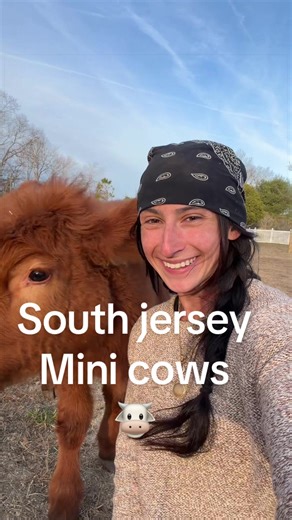MTV cribs but more like me and my cows (Honestly the fact that I get to say hi im Shelby & these are my cows is insane ) #fy #southjersey #thingstodo #thingstodonj #highlandcow