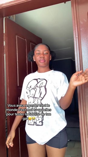 Testing Fidelity in Humorous TikTok Video