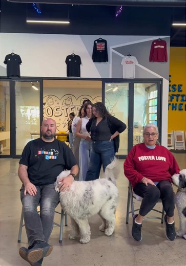 Understanding Foster Care: Who is More Likely?