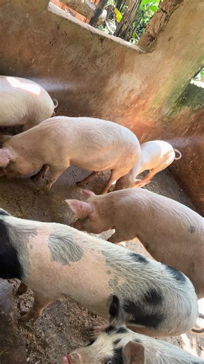 #mypageforyou #foryou #fypシ