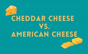 Cheddar Cheese Vs. American Cheese: Which One Is Healthier? - Foodsalternative
