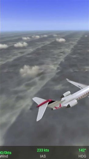 REAL FLIGHT SIMULATOR