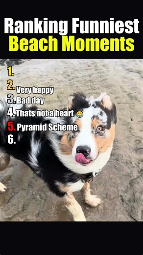 Ranking funniest moments on the beach #funny #memes