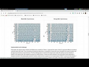 05 - Conversion of large scale cortical models into PyNN/NeuroML - R. V. Nunes
