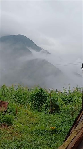 // J I J I // (@..jiji4)’s videos with Spring Is Coming - Morunas