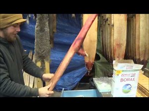 Professional Fur Handling, Coyote - Part 3 Boarding and Flipping