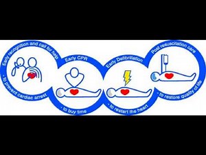 02.chain of survival (immediate life support)